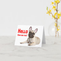 Hello French Bulldog Dog Thinking of You Love