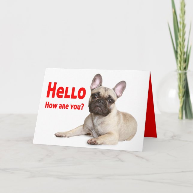 Hello French Bulldog Dog Thinking of You Love  Card (Front)