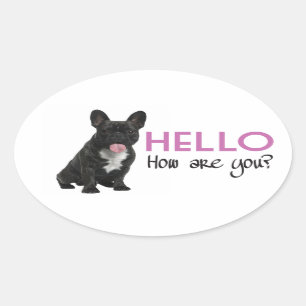 Hello French Bulldog Puppy Dog Sticker / Seals