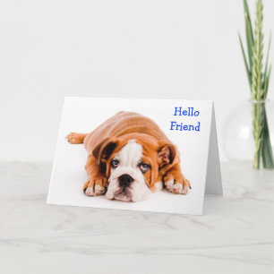 Hello Friend Bulldog Greeting Card - Verse