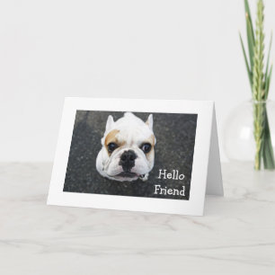 Hello Friend Bulldog Greeting Card - Verse