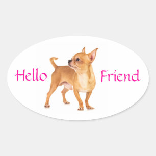 Hello Friend Chihuahua Sticker