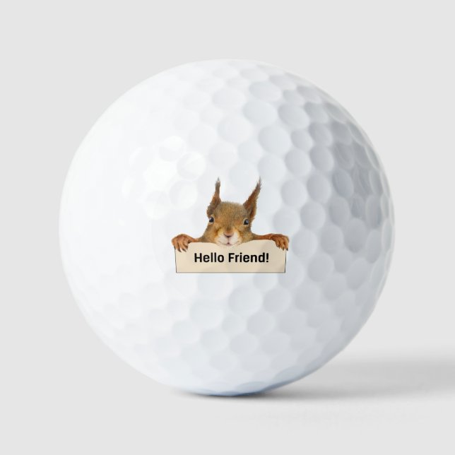 Hello Friend Funny Squirrel   Golf Balls (Front)