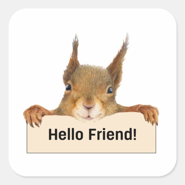 Hello Friend Funny Squirrel Square Sticker (Front)