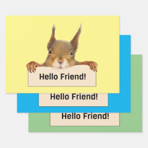 Hello Friend Funny Squirrel  Wrapping Paper Sheet
