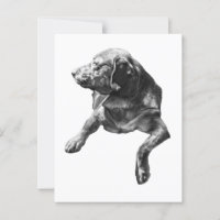 Hello from Evergreen Corners