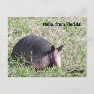 Hello, from Florida! Postcard
