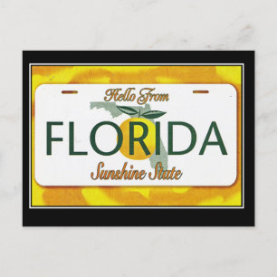 Hello From Florida Vintage Travel Postcard