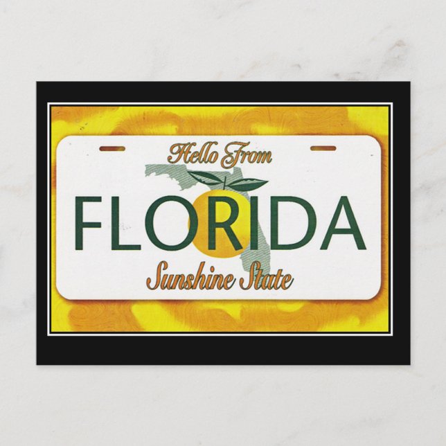 Hello From Florida Vintage Travel Postcard (Front)