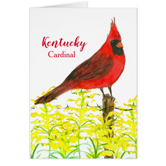 Hello From Kentucky Cardinal State Bird Blank (Front)