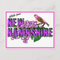 Hello from New Hampshire Purple Finch & Lilacs