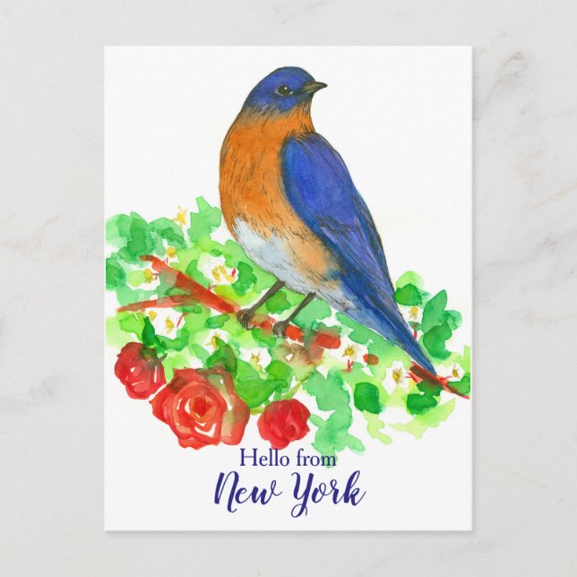 Hello from New York Bluebird Roses Postcard (Front)
