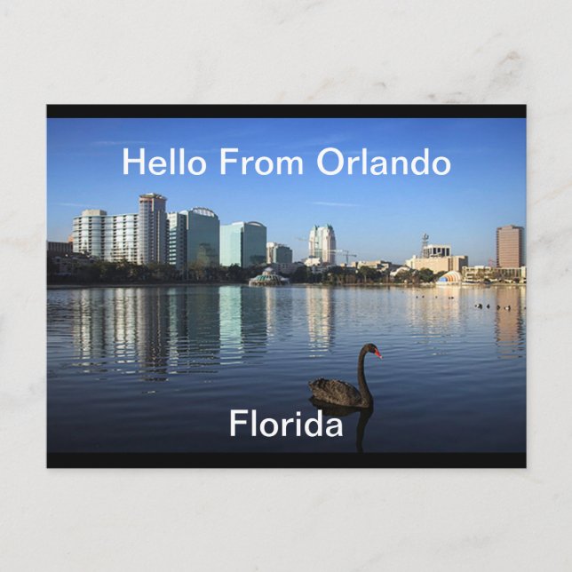 Hello From Orlando, Florida  Postcard (Front)