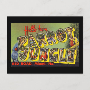 Hello from Parrot Jungle Postcard