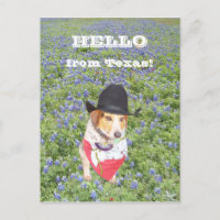 Hello from Texas!