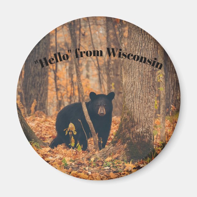 Hello From Wisconsin with Black Bear Magnet (Front)