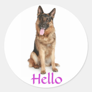 Hello German Shepherd Puppy Dog Greeting Stickers