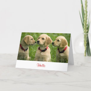 Hello Golden Retriever Puppies Blank Note Card