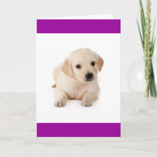 Hello Golden Retriever Puppy Dog Greeting Card