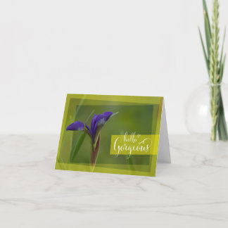 "Hello Gorgeous" Siberian Iris Greeting Card