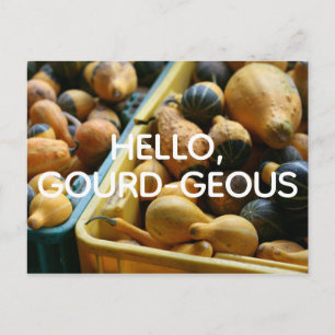 Hello, Gourd-geous Postcard