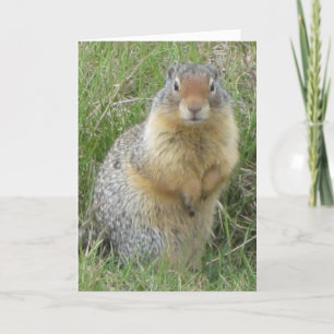 Hello greeting card