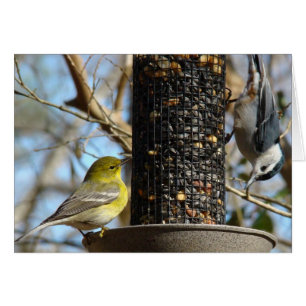 Hello!  Greeting Card