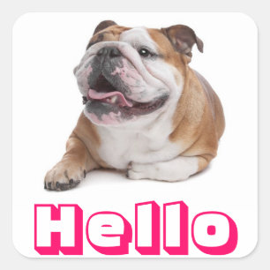 Hello Happy Bulldog Puppy Dog Greeting Sticker