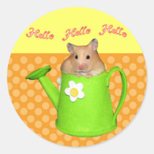 Hello hello hamster classic round sticker