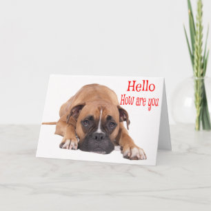 Hello / Hi Boxer Puppy - Brown & White Dog Card