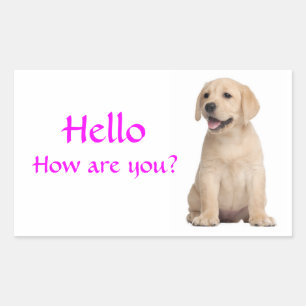 Hello / Hi  Labrador Retriever Puppy Dog Stickers