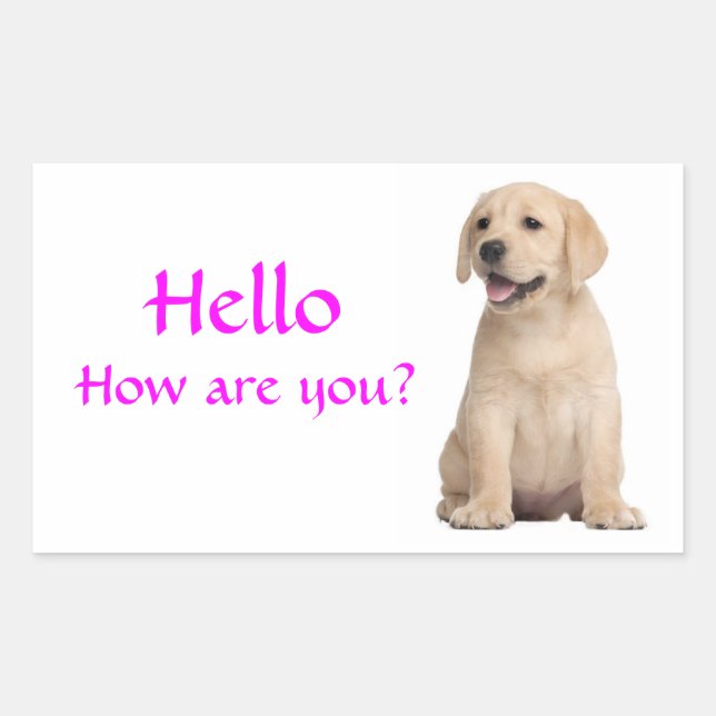 Hello / Hi  Labrador Retriever Puppy Dog Stickers (Front)