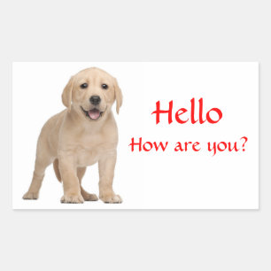 Hello / Hi Labrador Retriever Puppy Dog Stickers