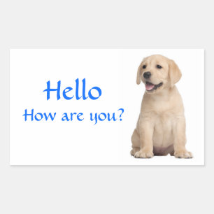 Hello / Hi Labrador Retriever Puppy Dog Stickers