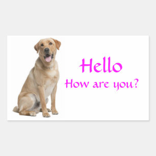 Hello / Hi Labrador Retriever Puppy Dog Stickers