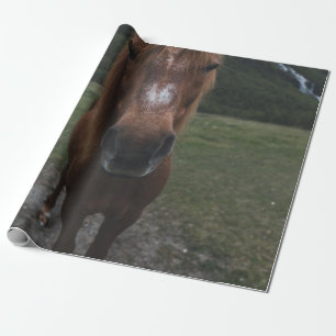 HELLO I AM A HORSE WRAPPING PAPER