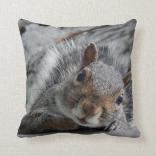 Hello I am Squirrel Cushion