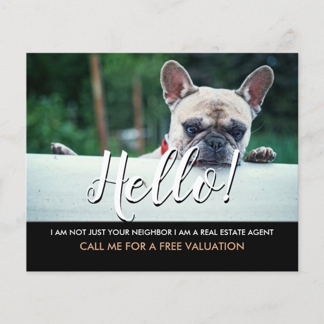 hello I'm not your neighbour real estate agent Fly Flyer (Front)