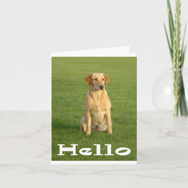 Hello Labrador Retriever Puppy Dogs Note Card (Front)
