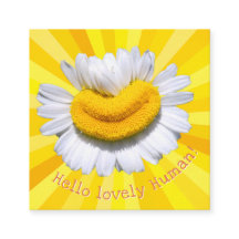 "Hello lovely Human!" Chamomile Smile Sunburst