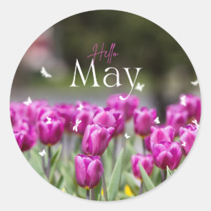 Hello May Tulip Sticker