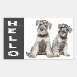 Hello Miniature Schnauzer Dog Chalkboard Sticker