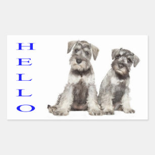 Hello Miniature Schnauzer Puppy Dog Sticker  Label