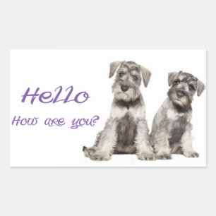 Hello Miniature Schnauzer Puppy Dog ticker Label