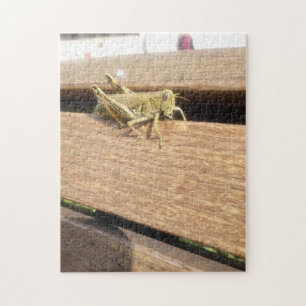 Hello Mr. Grasshopper!  Jigsaw Puzzle
