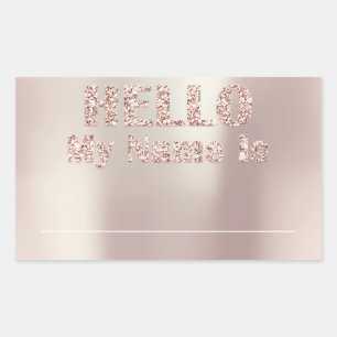 Hello My Name Is Tag Meeting Class Meeting Pearl