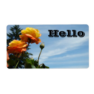 HELLO name tags Guest Visitors Conferences