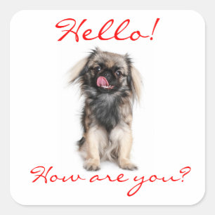 Hello Pekingese Puppy Dog Greeting Sticker