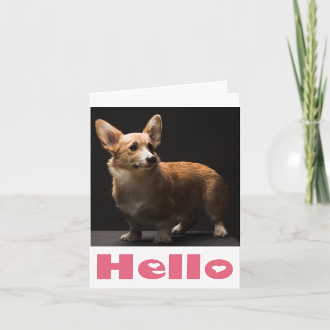 Hello Pembroke Corgi Puppy Dog Blank Note Card (Front)