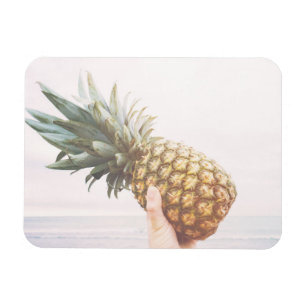 Hello pineapple magnet